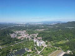 -广州市帽峰山景区