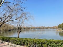 -上海野生动物园