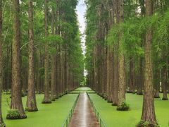 -渌洋湖湿地公园