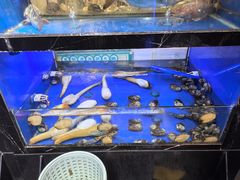 -喜聚薈·花膠雞海鮮火鍋(越秀店)