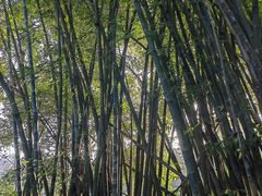 -叠水河瀑布