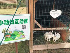 -明珠湖天鹅苑·农家菜馆