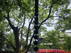 -香积寺
