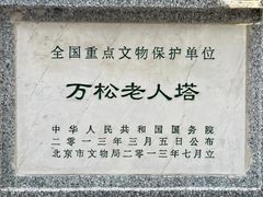-万松老人塔