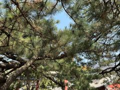 -潭柘寺景区