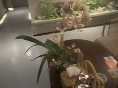 -施奈儿.洗头頭療.按摩SPA.采耳(上梅林店)