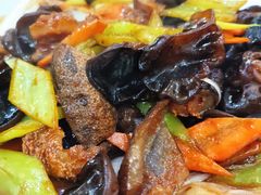 黑木耳烧海参-山海关清和浑锅店