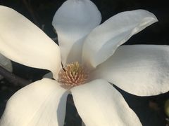 -西安交通大学(雁塔校区)