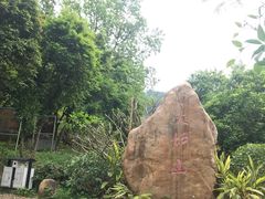 -火炉山森林公园