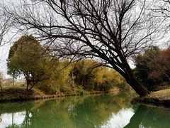 -西溪国家湿地公园