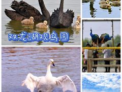 -台儿庄古城