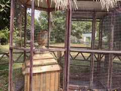 -武汉紫薇都市田园