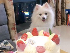 -福气鲜活面包·生日蛋糕