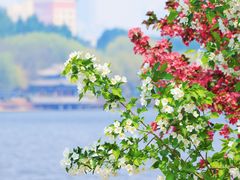 -长白岛森林公园