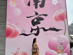 -金茂览秀城