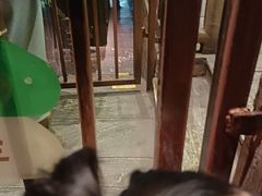 -蓝精灵乐园·世茂精灵之城主题乐园