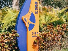 -演武大桥观景平台