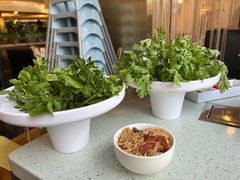 -烹然四季椰子鸡火锅(团结湖总店)