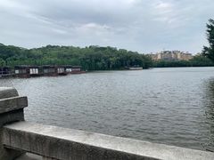 -三水森林公园