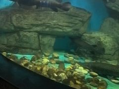 -大明湖海底世界