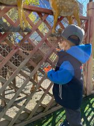 -萌宠亲子动物乐园(槐房万达店)