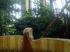 -郑州银基黄帝宫御温泉