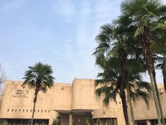 -自贡恐龙博物馆