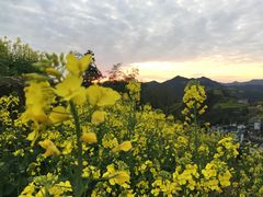 -石潭村