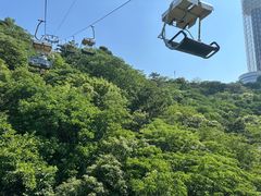 -富斯特索道