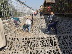 -呀路古热带植物园