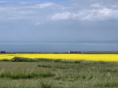 -青海湖国家重点风景名胜区