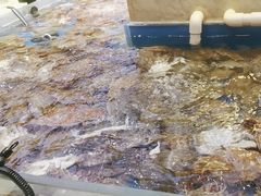 -川骄海鲜自助(河东店)