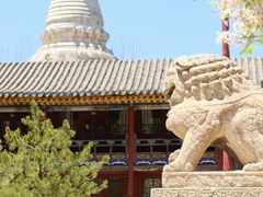 -五台山风景名胜区-罗睺寺