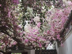 -深圳国际园林花卉博览园