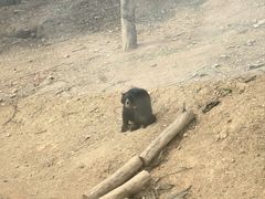 -泉州海丝野生动物世界