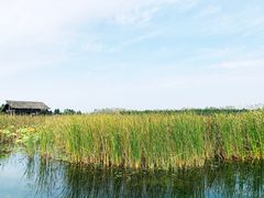 -溱湖国家湿地公园