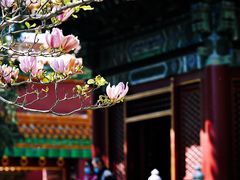 -故宫博物院(故宫)