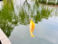 -丰台花园