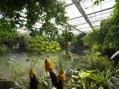 -南通洲际绿博园