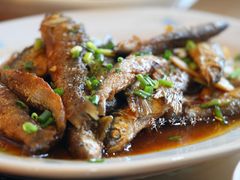 岭北野生清水鱼-诸暨市岭北镇仕新农庄