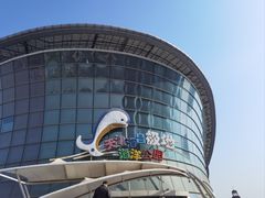 -海合安天津极地海洋公园