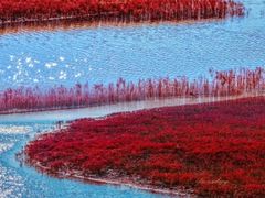 -红海滩国家风景廊道