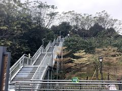 -佛山华盖山公园