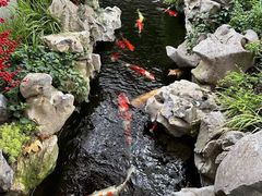 -鲤院·新中式美学·庭院餐厅(夫子庙店)