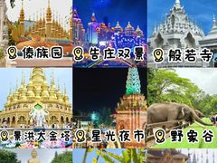 -西双版纳原始森林公园