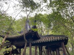 -上海佘山国家森林公园天马山园