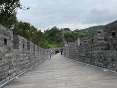 -黄贤森林公园