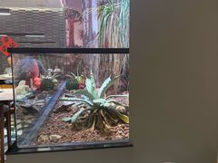 -老李家土菜馆·安吉地标美食