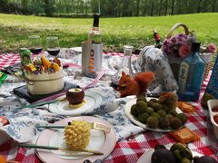 -长白岛森林公园