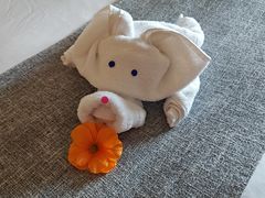 -上海佘山茂御臻品之选酒店(原佘山艾美酒店)